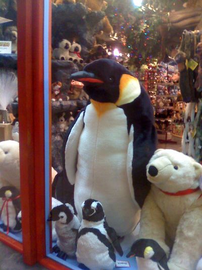 Kids love cold-weather critters like penguins or polar bears, but still have a hard time understanding topics like climate change. Should authors of books on this topic use this animals as educational aides?  (Morguephoto.com)