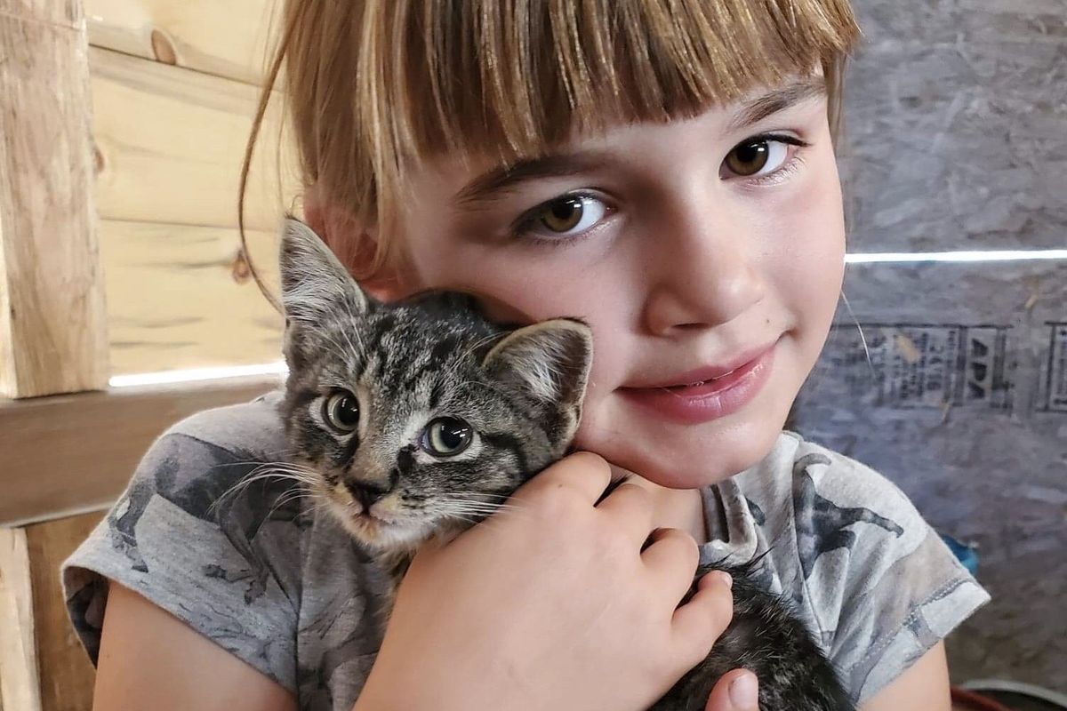 Erika Raggio said she was shocked to see Biscuit cuddle with her daughter, Emma Rose Raggio, 6, as soon as he got in the car instead of acting skittish.  (Erika Raggio)