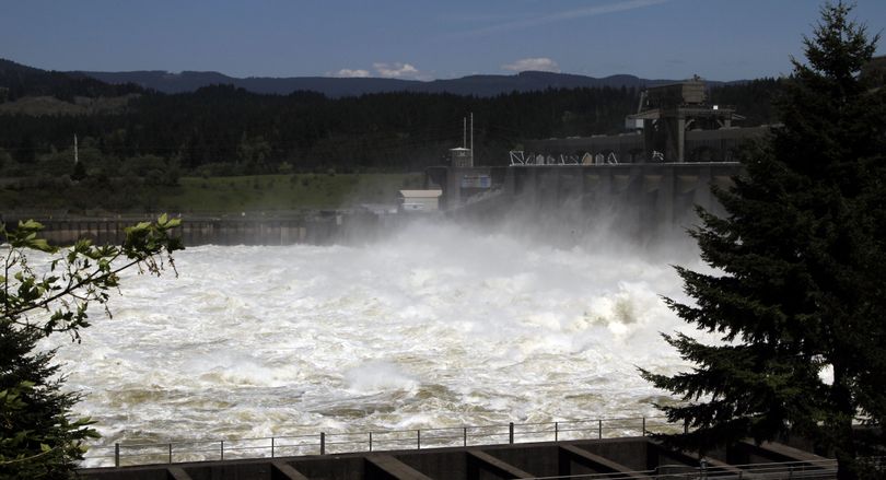 In full froth: Heavy spring runoff waters boil and churn as they pass through the spillways at Bonneville Dam near Cascade Locks, Ore., on Friday. (Associated Press)