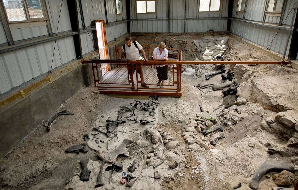 Los Angeles Times Bob and Jane Davis of England take a look inside a pit at the Cleveland-Lloyd Quarry that’s littered with dinosaur bones, some authentic, some replicas of bones that have been removed from the site. (Photos by Gina Ferazzi Los Angeles Times / The Spokesman-Review)