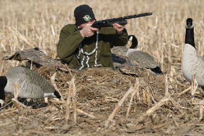 
Canada geese numbers remain high throughout the region.
 (Photo courtesy of Avery Outdoors / The Spokesman-Review)