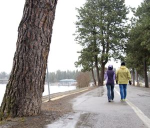 In this Feb. 5, 2015, SR file photo, a few large trees were left on the dike road along the west side of the campus of North Idaho College after city crews thinned the canopy to comply with federal flood control regulations. (Jesse Tinsley)