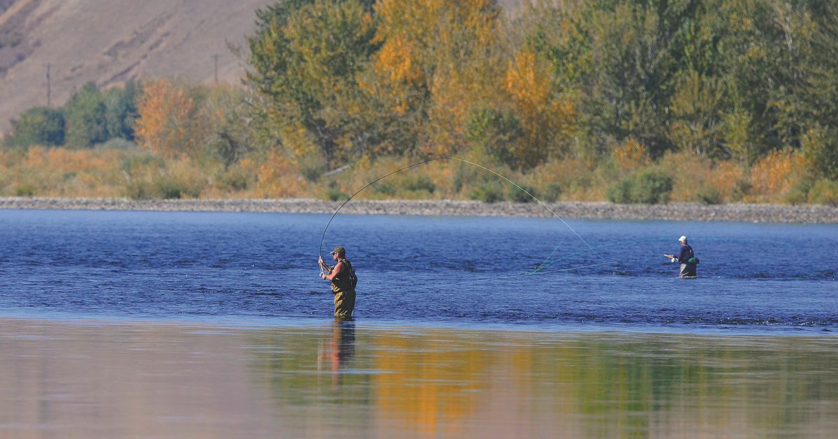 A pair of spey casting steelhead fishermen try their luck in the Clearwater River near Hog Island.  (Tribune/Steve Hanks)