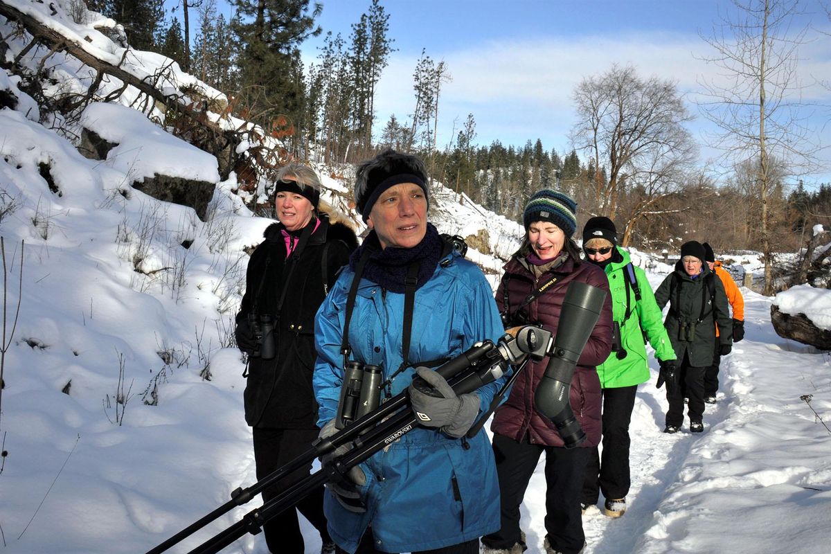 Kim Thorburn leads her group to search for species along the Little Spokane River during the Audubon Society's annual Christmas Bird Count. (Rich Landers / The Spokesman-Review)