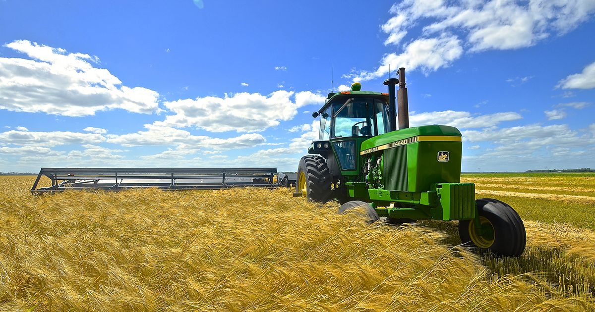Heat worries US wheat farmers just as crop prices surge