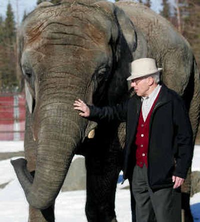
John Seawall, who heads up the elephant habitat at the Alaska Zoo, pets Maggie, the zoo's elephant, Thursday. Idaho-based Conveyor Engineering is working with the Alaska Zoo to develop and install the world's first elephant exercise treadmill. 
 (Associated Press / The Spokesman-Review)