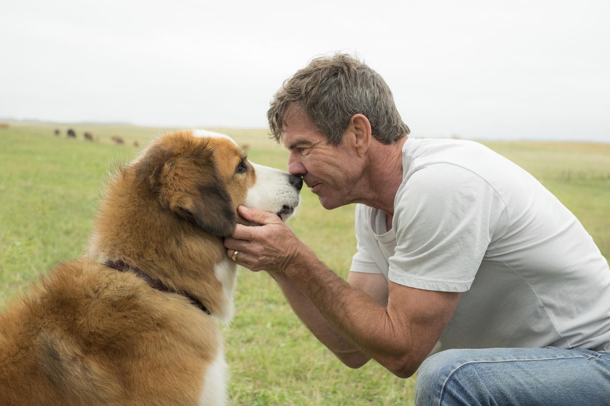 Dennis Quaid with a dog, voiced by Josh Gad, in a scene from "A Dog