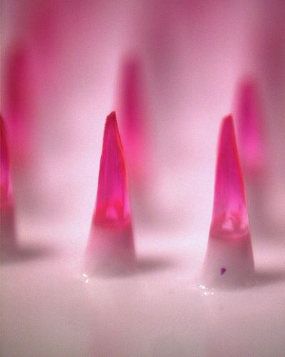 This undated photo provided by the Nature Publishing Group shows a microscopic image of dissolving microneedles.  (Associated Press)