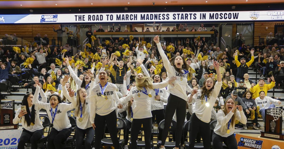 ‘It feels different’: Vandal basketball success energizes UI campus