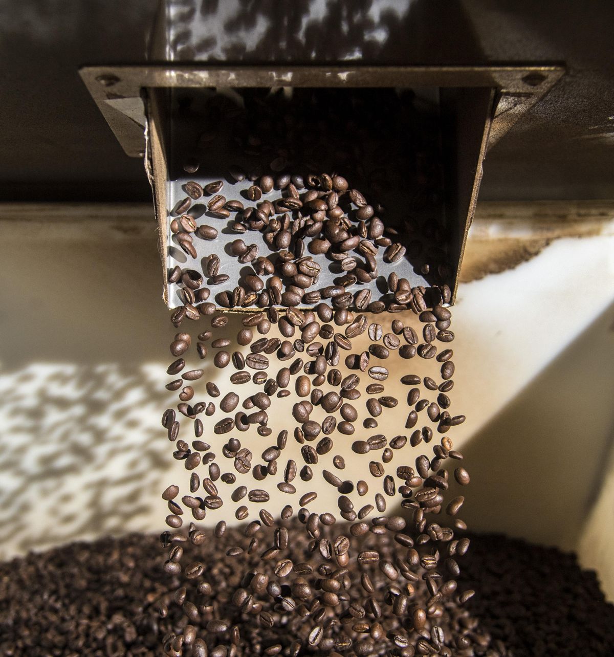 Roasted coffee beans tumble into a catch bin, Friday, Jan. 12, 2018, at 4 Seasons Coffee in Spokane, Wash. (Dan Pelle / The Spokesman-Review)