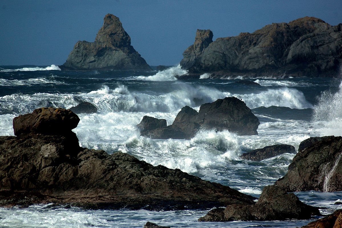 Found under these churning waves are Dungeness crabs. The crabs are sustainable seafood that is found only along the Pacific Coast.