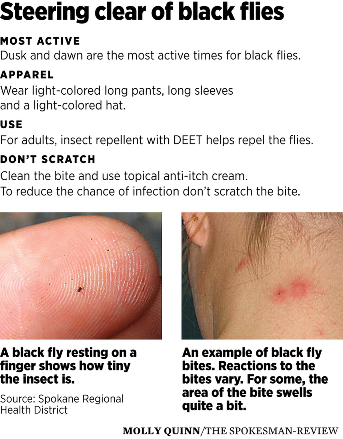 how to heal fly bitten dog ears