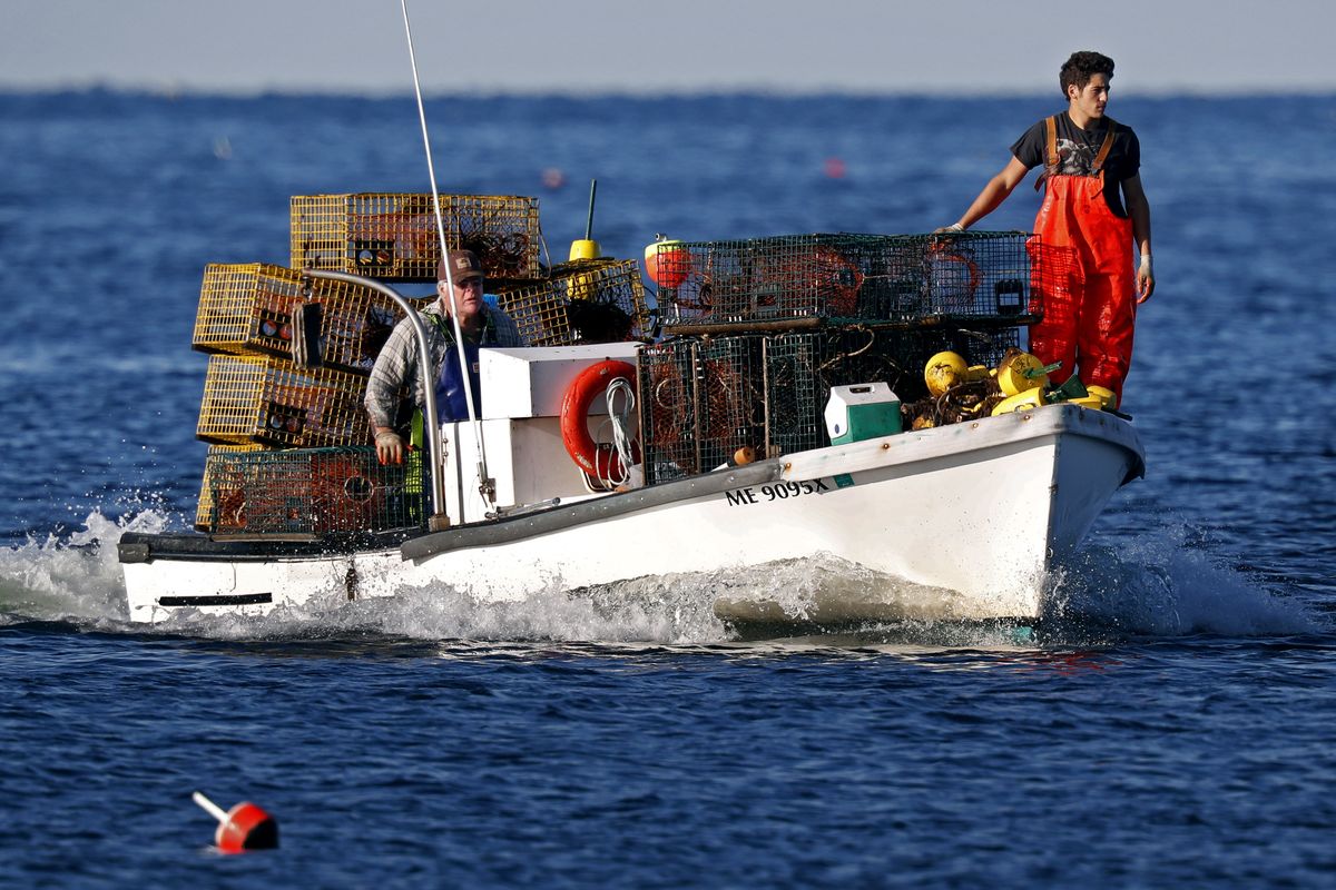 In this Aug. 24, 2019 photo, Adam Daggett stands lookout on the bow as his father, John Daggett, pilots their boat at Cape Porpoise in Kennebunkport, Maine. America