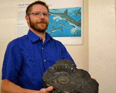 Idaho State University professor Leif Tapanila, curator of the ISU Museum of Natural History’s earth sciences division, shows a fossil of the teeth from the ancient shark species Helicoprion on Friday in Pocatello. (Associated Press)