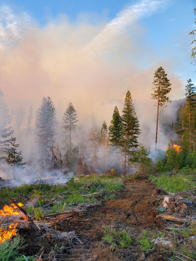 Courtesy of Idaho Department of Lands Fire Management 
