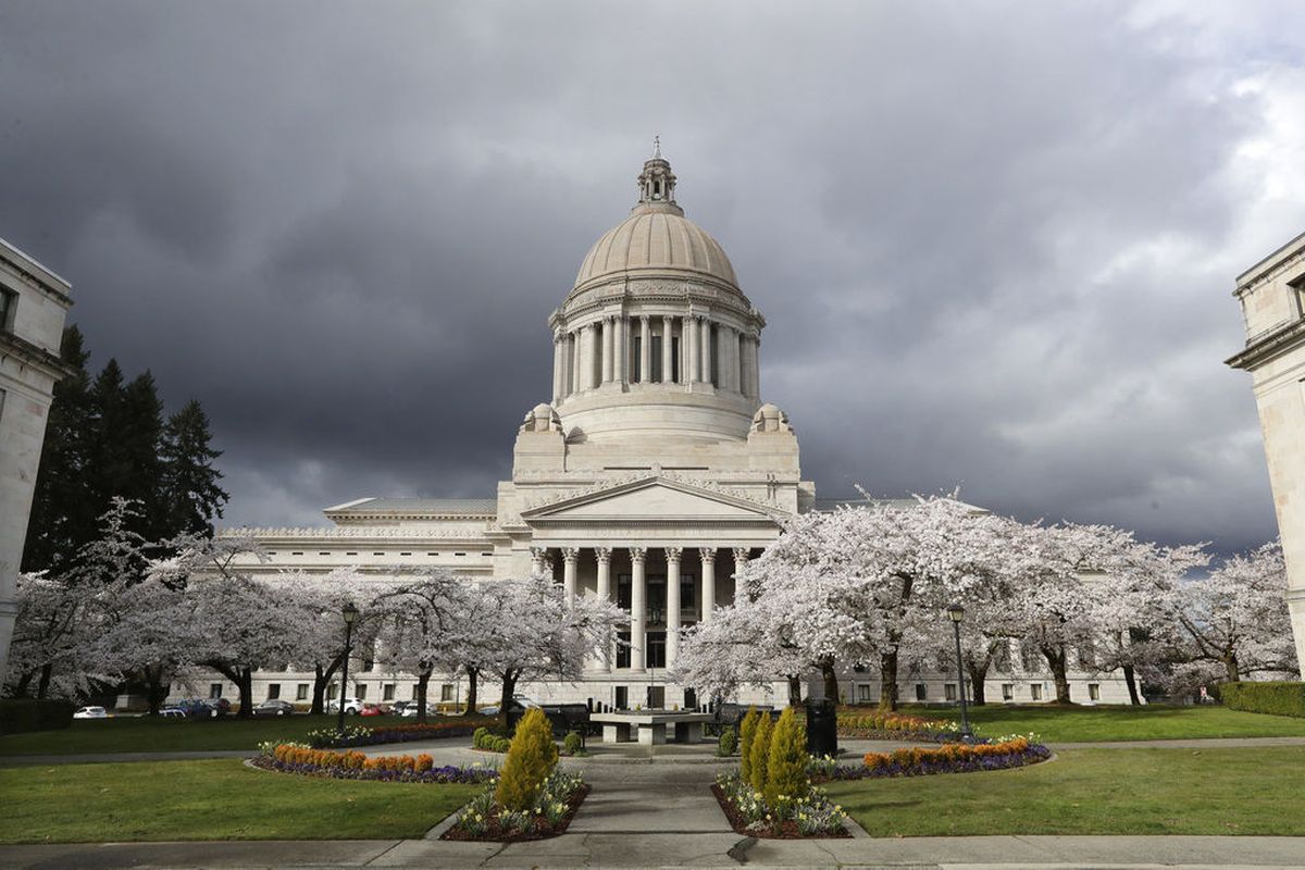 In this photo taken March 23, 2020, cherry trees bloom next to the Capitol building in Olympia. The state is facing a major budget hole due to the coronavirus-caused economic downturn.   (Elaine Thompson)