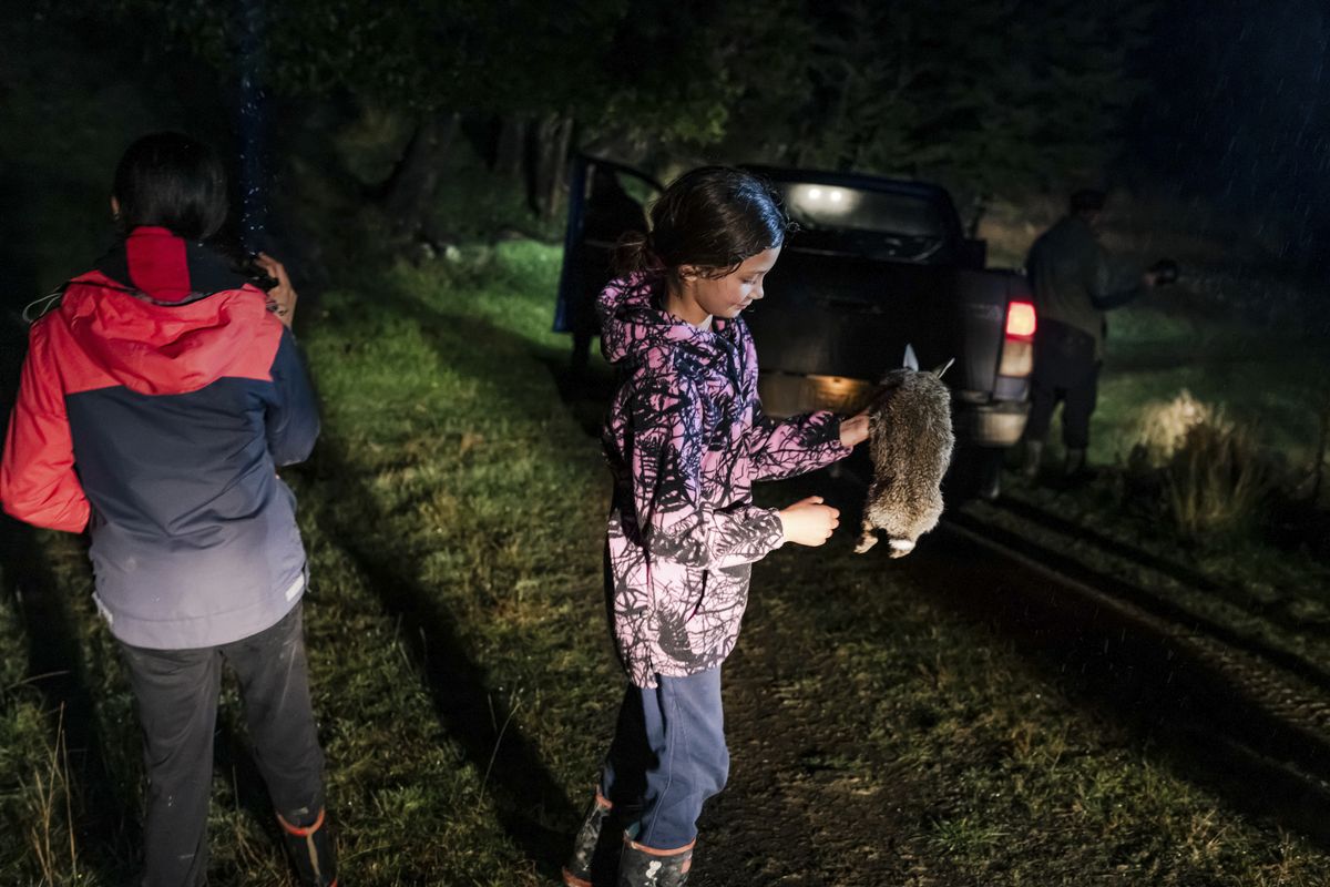 Page Bailey, 10, holds a rabbit that was shot minutes earlier by an adult hunter near Rotherham, New Zealand, on June 23, 2023. A hunting contest has exposed tensions over which animals deserve protection, who gets to define humaneness and how children should be taught about conservation. (Tatsiana Chypsanava/The New York Times)  (TATSIANA CHYPSANAVA)