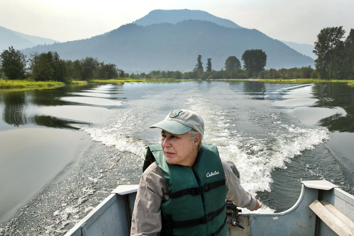 Katherine Cousins, Idaho Department of Fish and Game biologist, boats through the Clark Fork Delta restoration project in August 2015. (Dan Pelle / The Spokesman-Review)