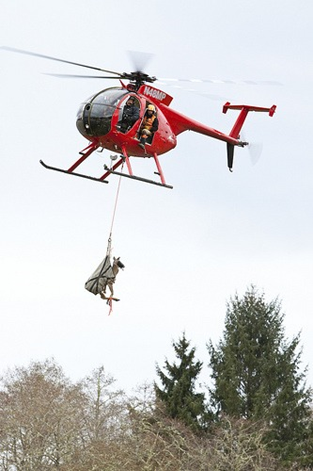 Elk Grove Police Helicopter Activity Todaylibrary Detail - jrbmx3x