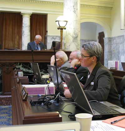 Sen. Nicole LeFavour, D-Boise, objects Tuesday morning to cuts in substance abuse treatment as part of budget deliberations in JFAC. (Betsy Russell)