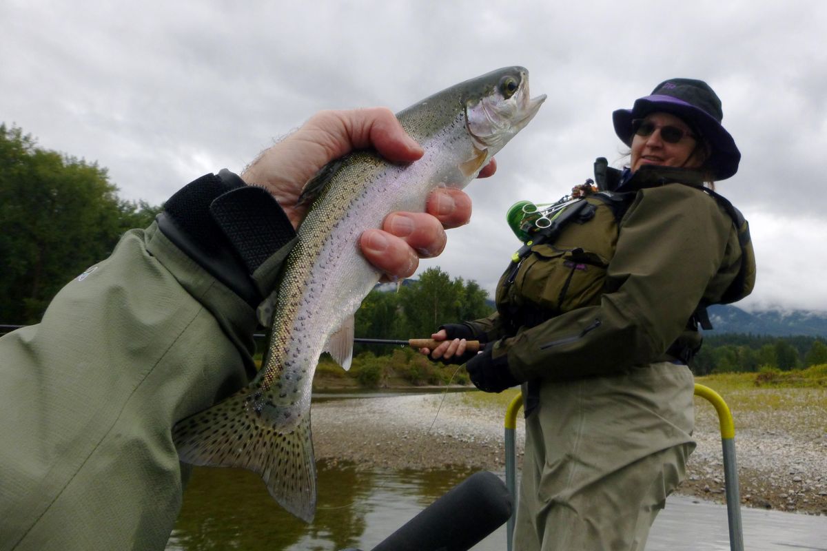 Leeanna Young successfully casts dry flies in the drizzle on the Kootenai River. (Rich Landers / The Spokesman-Review)