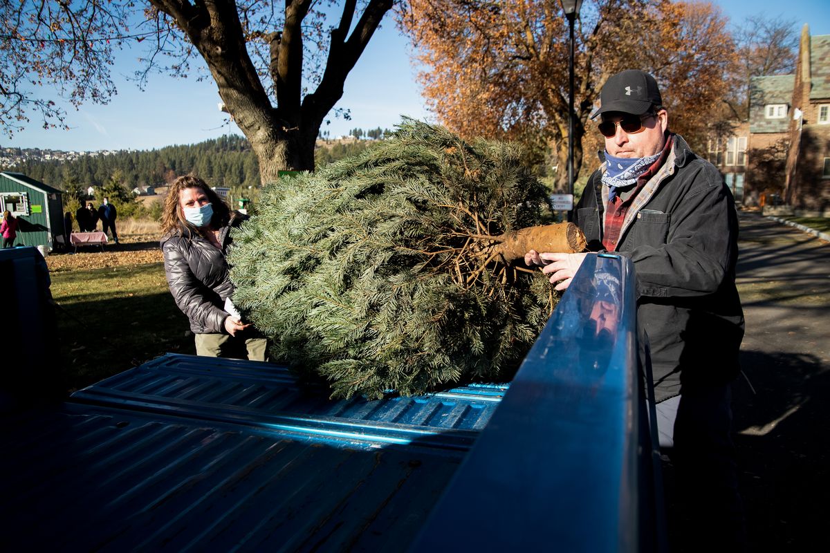 Hutton Settlement Christmas Trees 2022 Hutton Settlement Christmas Tree Farm's First Weekend Of The Season Brings  Record-Breaking Sales | The Spokesman-Review