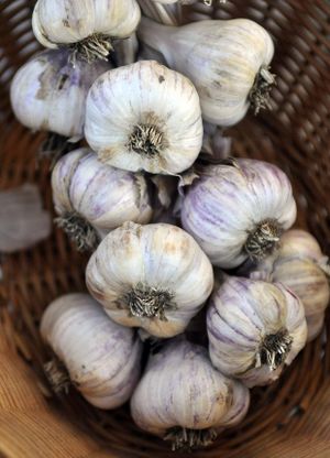 Garlic is thought to have originated in central Asia. (SR photo)
