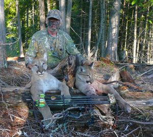 Bowhunter Rod Noah of Chattaroy poses with cougars that came in to his elk calls.