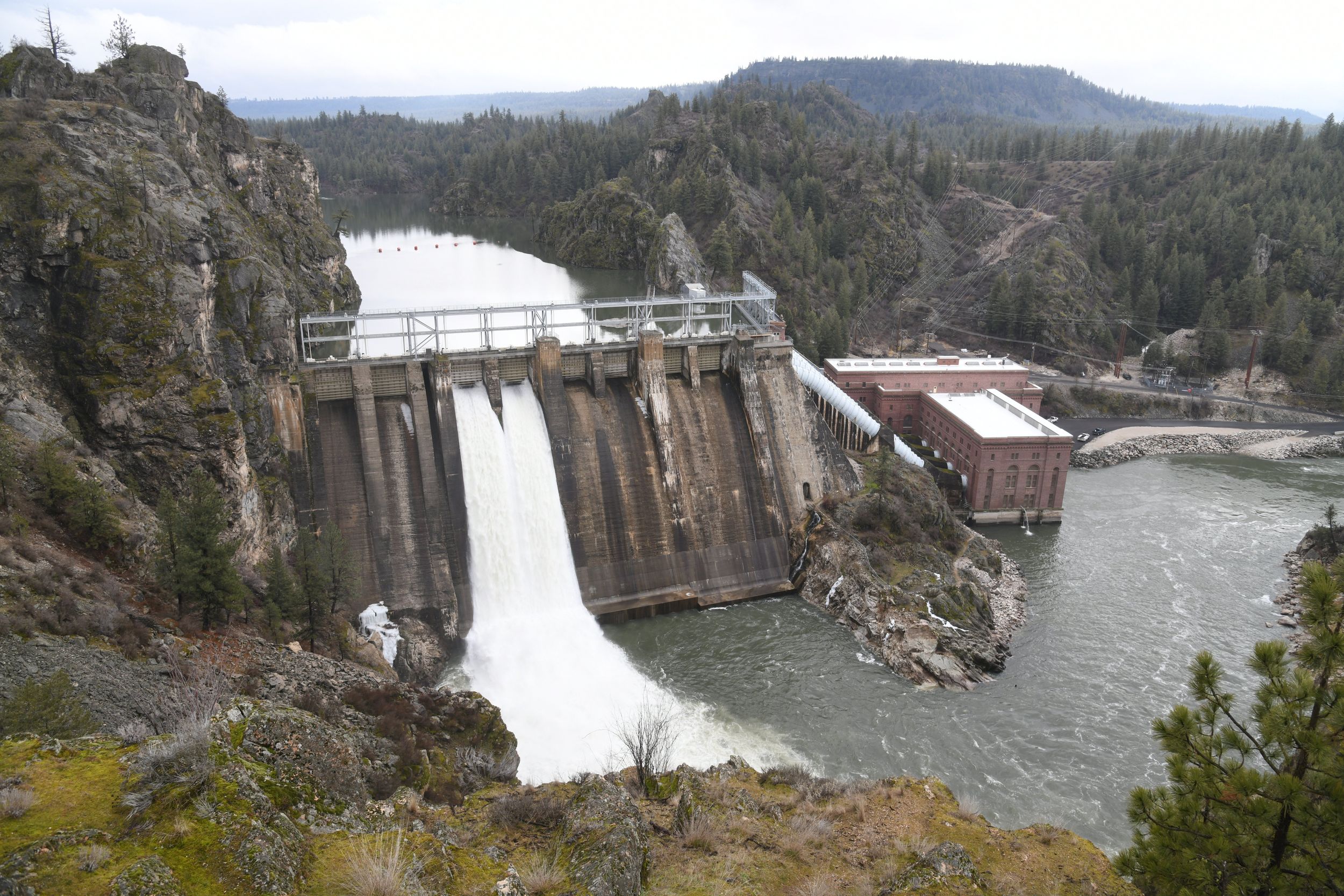 After Investigation, Long Lake Dam Fish Kill Still A Mystery 