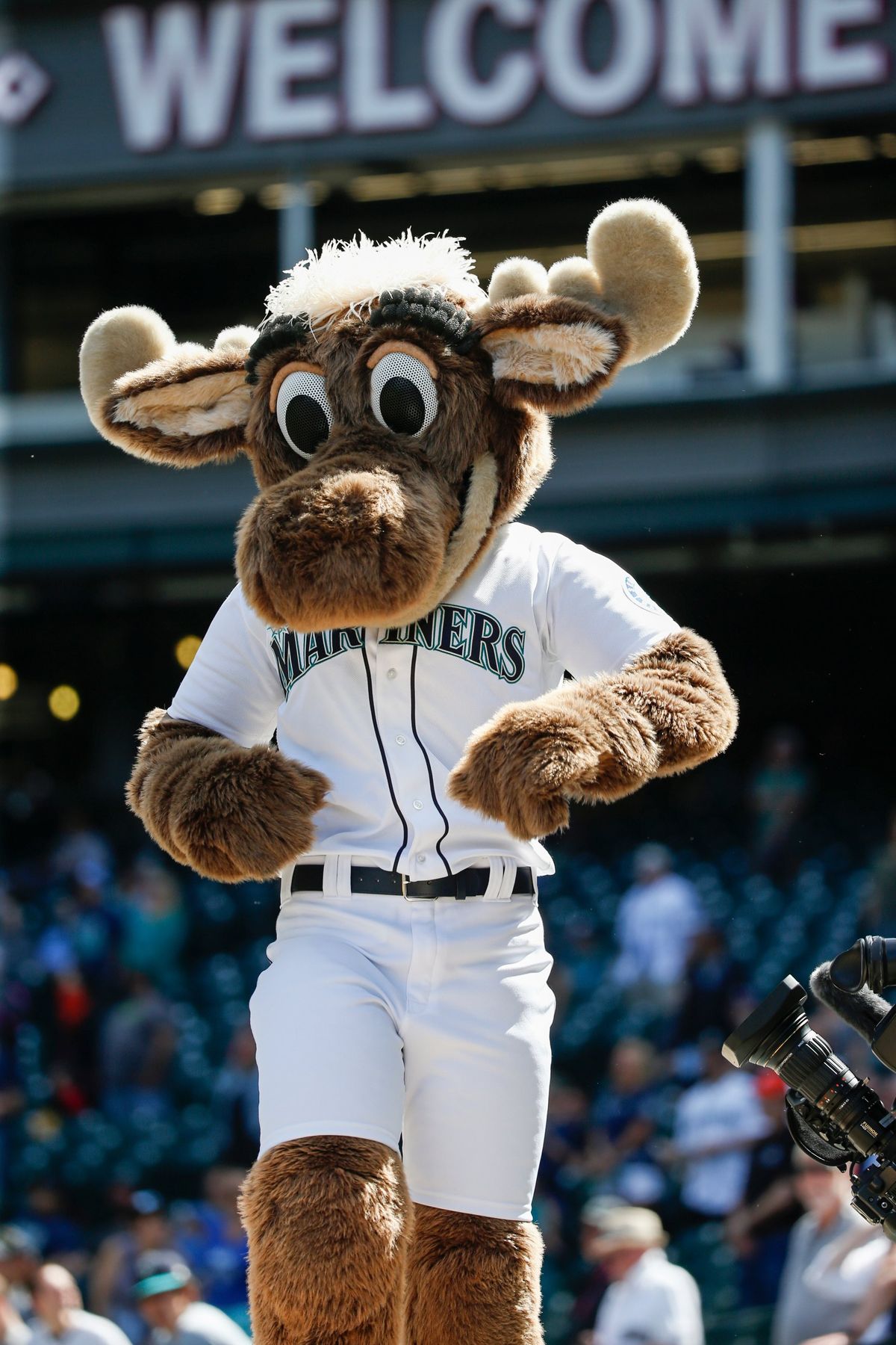 Mariner Moose will be at the Seattle Mariners watch party Friday at Flatstick Pub. (Courtesy)