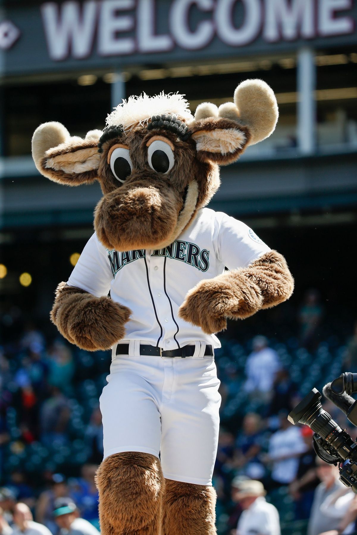 Seattle Mariners mascot the Mariner Moose.