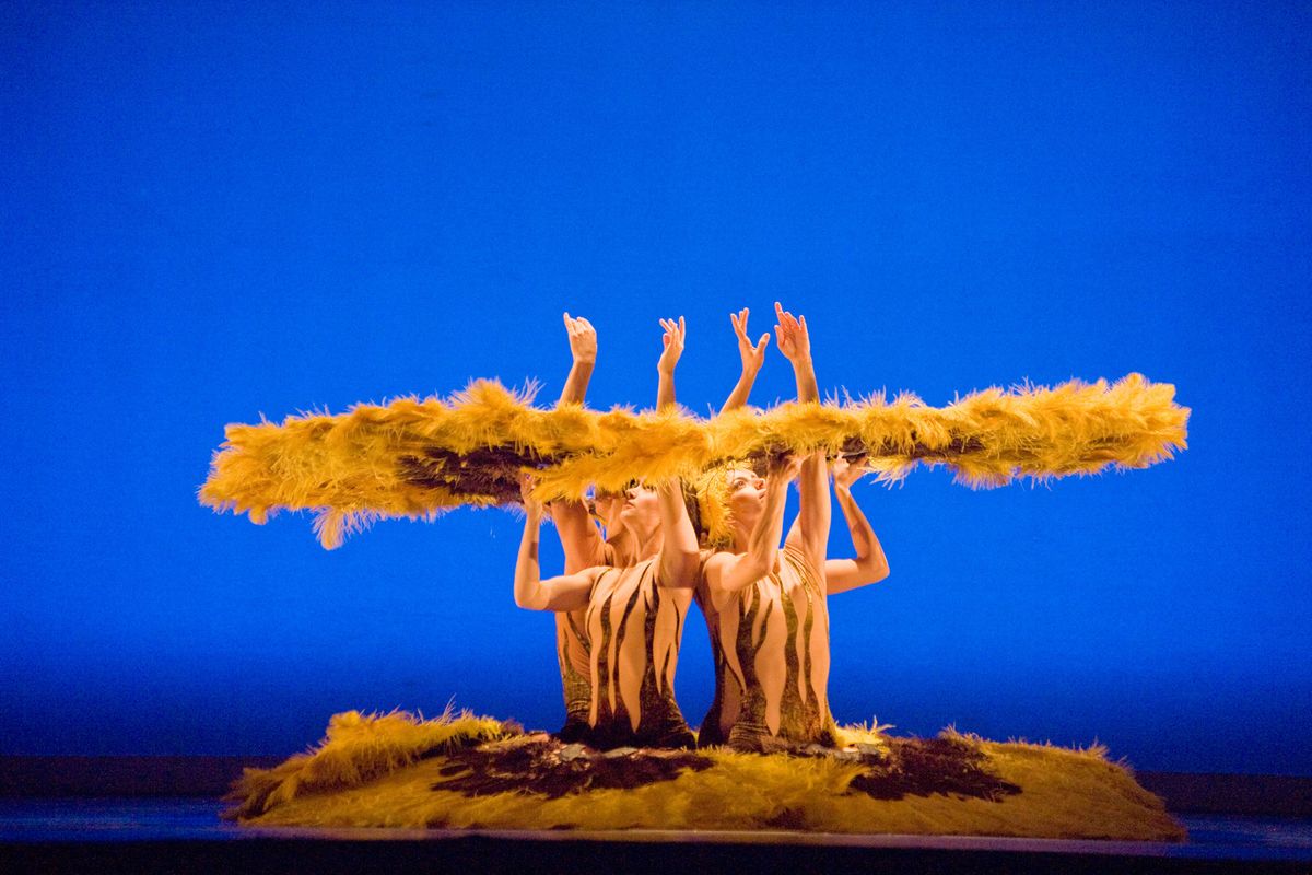 MOMIX, a company of dancer-illusionists that has performed on five continents, arrives at the Fox on Wednesday.