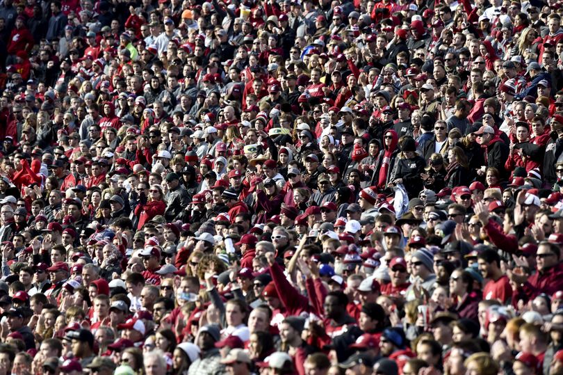 WSU fans cheer for their team against Arizona State during the first half of a Pac-12 college football game on Saturday, Nov 7, 2015, at Martin Stadium in Pullman, Wash. (Tyler Tjomsland / The Spokesman-Review)
