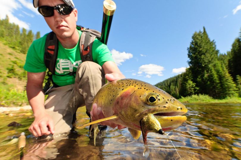 Sean Visintainer, guide and owner of Silver Bow Fly Shop, releases a wild westslope cutthroat trout, a signature species for North Idaho fly fishing streams. (Michael Visintainer)