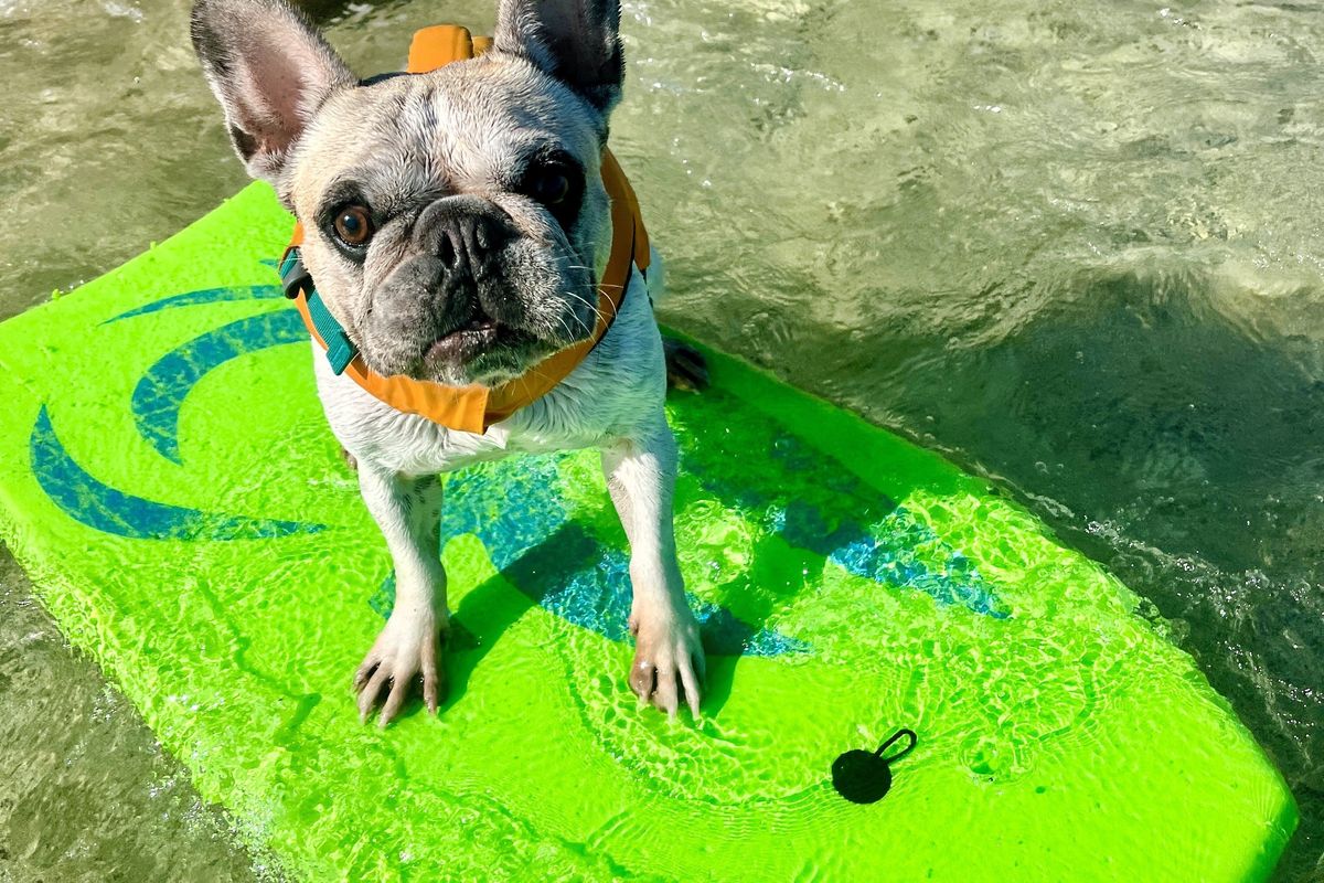 When he’s not on a surfboard or paddleboard, Dale enjoys riding on a bodyboard. 