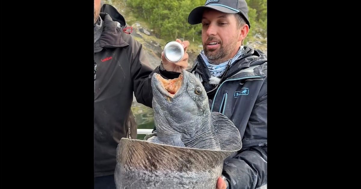 ‘Meanest fish' bites into soda can during questionable demonstration