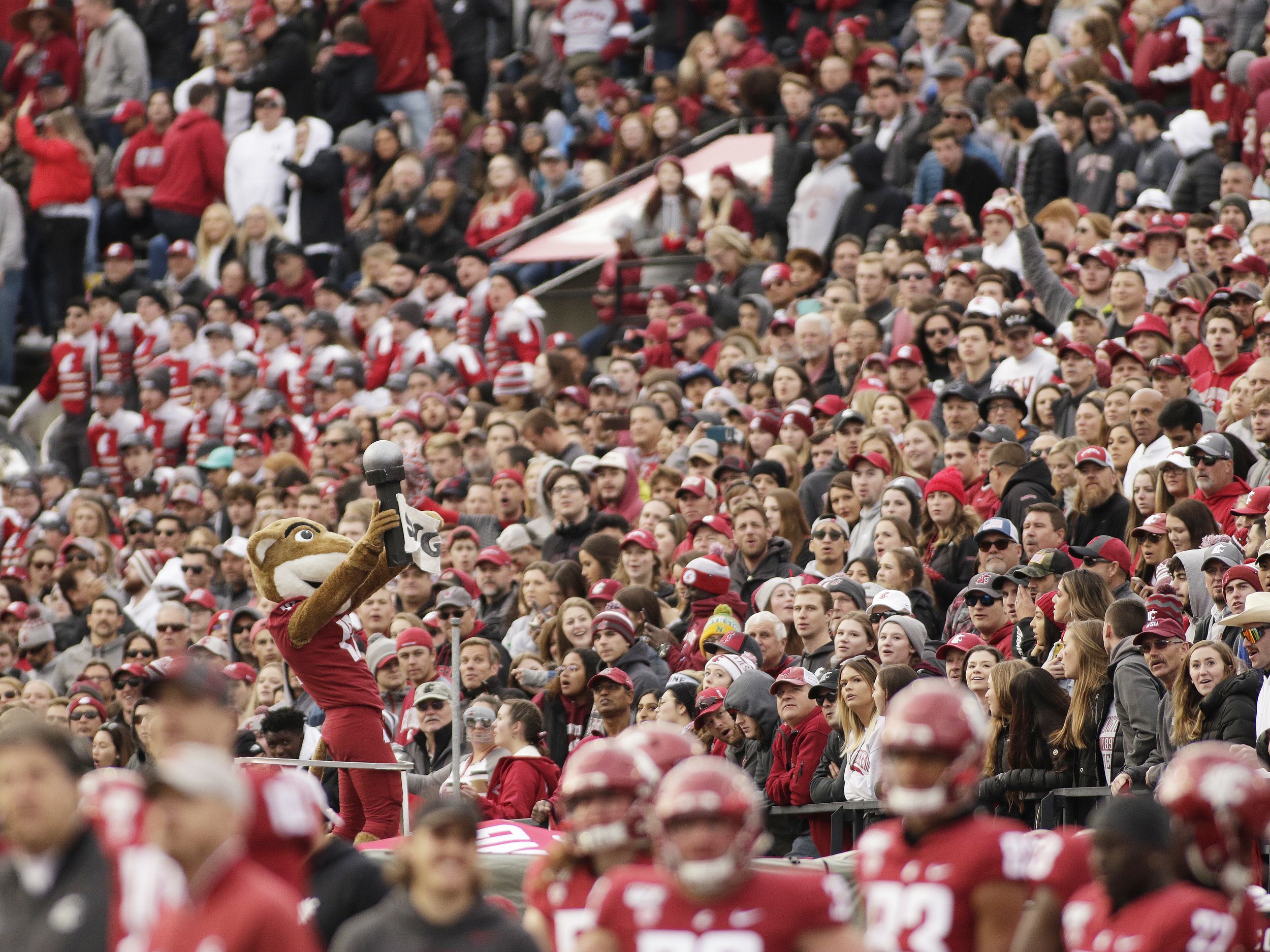 Cougars Open Homestand Wednesday against Linfield - Washington State  University Athletics