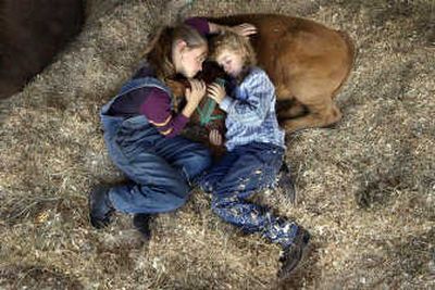 
During the 2004 Southeast Spokane County Fair, cousins Shelby and Kailyn Gady, then 10 and 9 respectively, of Rockford snuggled with their blue ribbon winner Simmental  cow, Butterfinger. This year's fair continues today and Sunday.
 (File/ / The Spokesman-Review)