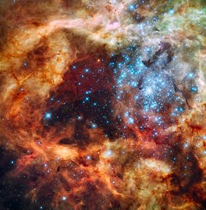 This image provided by NASA's Hubble Space Telescope Tuesday Dec. 15, 2009 shows hundreds of brilliant blue stars wreathed by warm, glowing clouds. The festive portrait is the most detailed view of the largest stellar nursery in our local galactic neighborhood. The massive, young stellar grouping, called R136, is only a few million years old and resides in the 30 Doradus Nebula, a turbulent star-birth region in the Large Magellanic Cloud (LMC), a satellite galaxy of our Milky Way. There is no known star-forming region in our galaxy as large or as prolific as 30 Doradus. (Nasa Hubble Space Telescope)