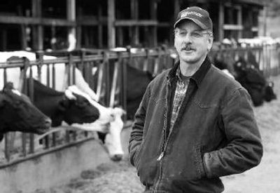 
Jay Gordon, executive director of the Washington Dairy Federation, runs an organic dairy farm the Chehalis Valley near Elma, Wash. Gordon believes more feed crops need to be planted to meet organic farms' demand. He also grows corn, sunflower, canola, and safflower to feed his dairy cows. 
 (Associated Press / The Spokesman-Review)