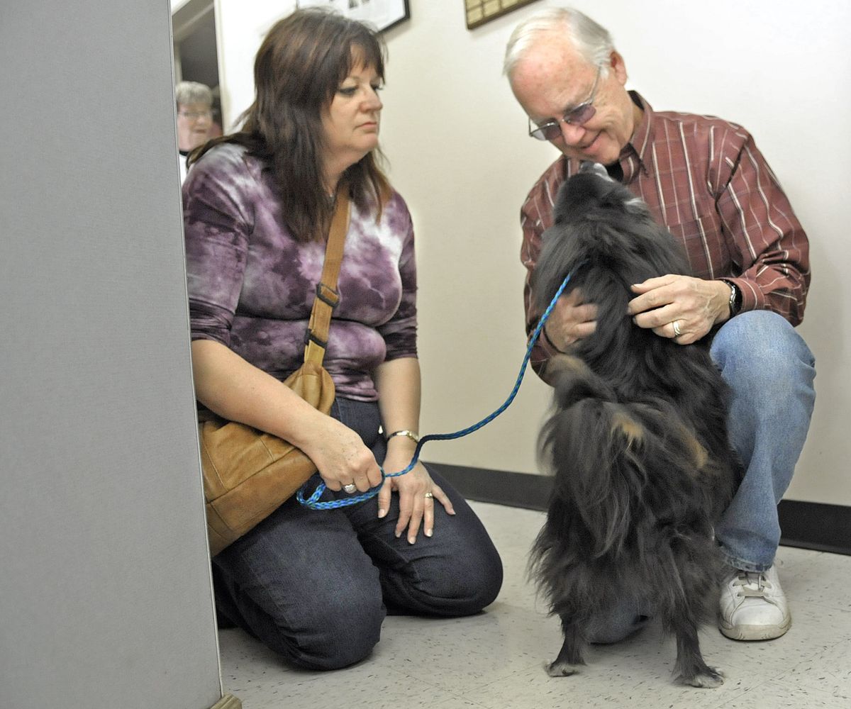 Marsha  and Richard Graham are reunited with their dog Harlee at SpokAnimal Care Tuesday afternoon as the dog returned to their custody after a long court battle.  (Christopher Anderson)
