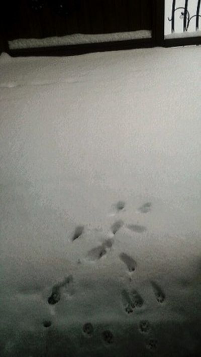 Thor's brush with snow