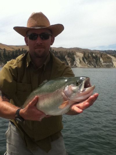A fly fisher holds a huge rainbow caught in Lake Rufus Woods on July 10, 2011. (Allen Peterson)