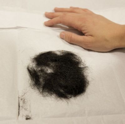A clump of Elvis Presley’s hair, given to Gary Pepper as president of the Tankers Fan Club to give to Elvis fans,  sold for $15,000.  (Associated Press / The Spokesman-Review)