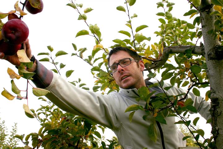 Volunteer’s efforts bear fruit for community’s hungry