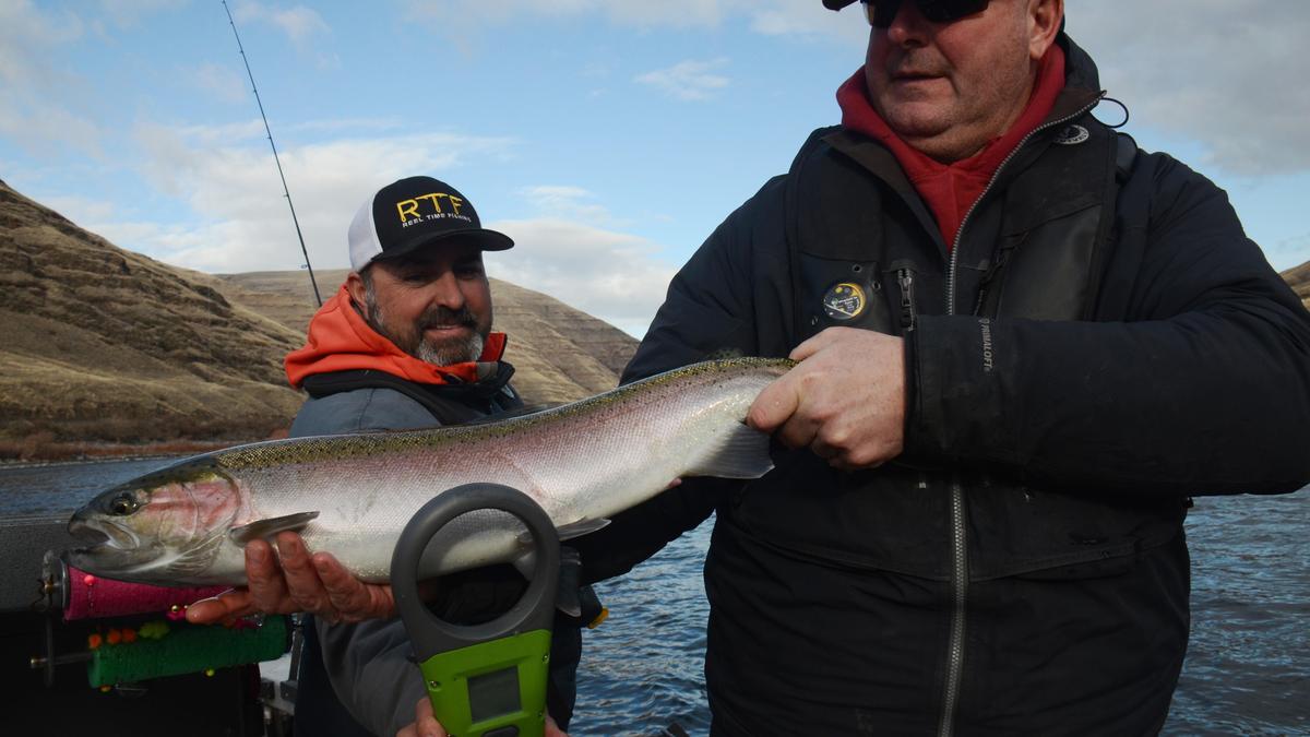 Washington hooks fishing guides for more info SWX Right