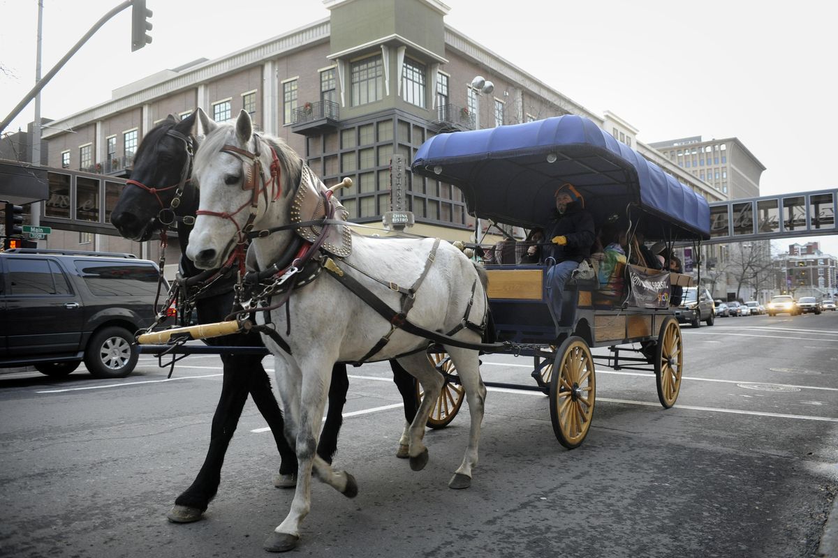 Bruce Spencer drives his team and carriage down Main Avenue in  November 2012. Carriage rides are back, thanks to sponsorships by the Spokane Downtown Partnership and Wheatland Bank. (Jesse Tinsley / The Spokesman-Review)