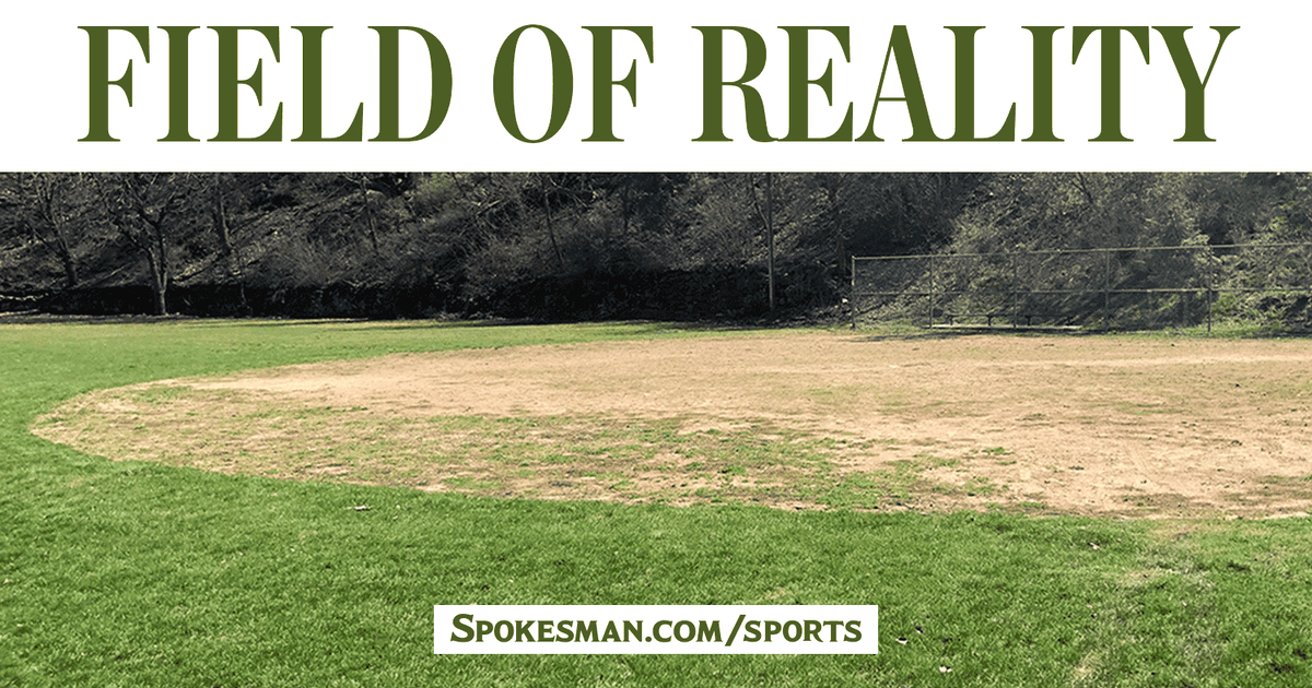 Field of reality Spokane Indians pitching in to help renovate baseball