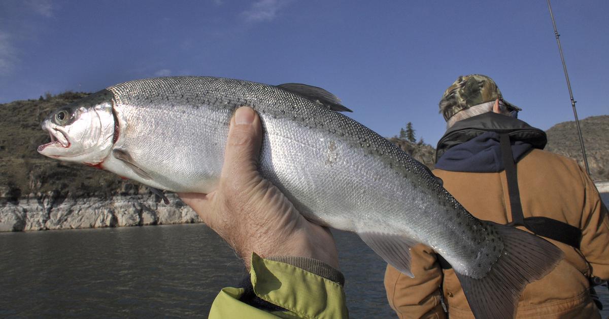 Deep drawdown: Lowering water levels test patience and ingenuity of ...