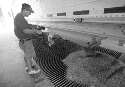 
Lynn Barry unloads corn to be processed at the Tall Corn Ethanol plant in Coon Rapids, Iowa, last year. High demand from the ethanol industry and strong export sales are expected to translate this year into the biggest corn planting since 1944. 
 (Associated Press / The Spokesman-Review)